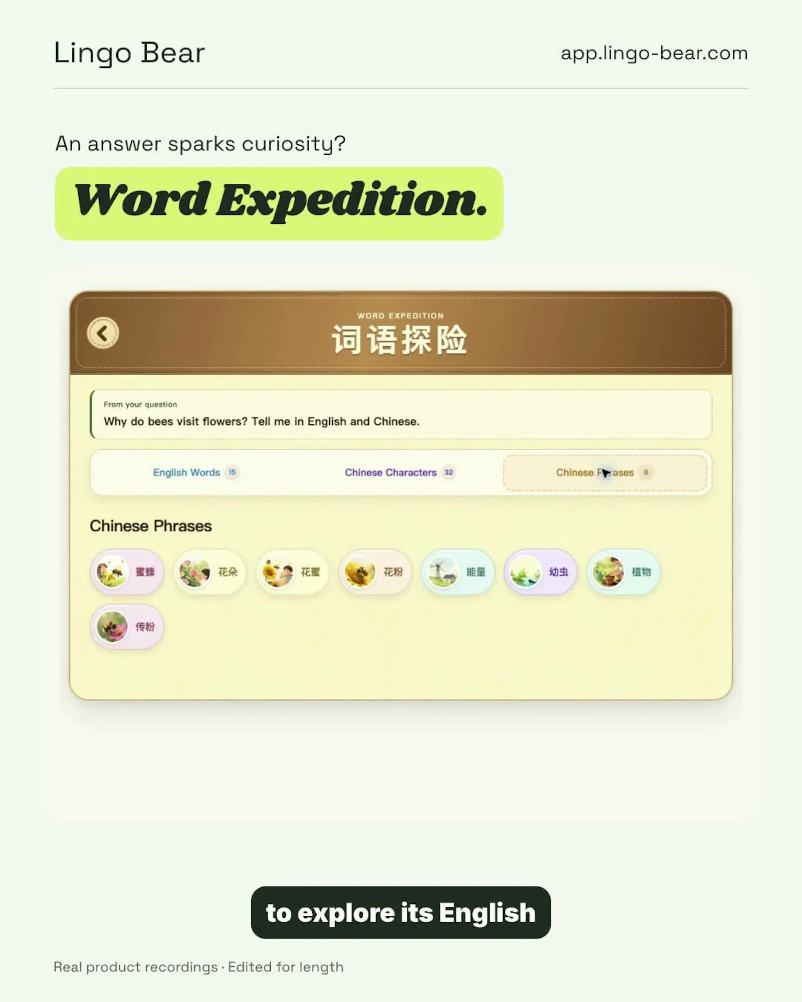 Lingo Bear screenshot 5