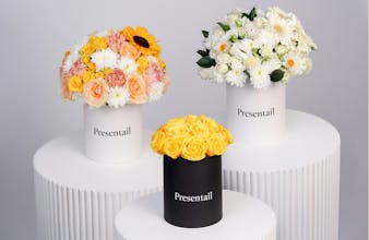 Presentail gallery image