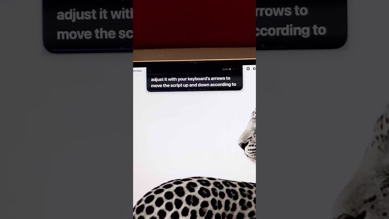 CueNotch gallery image