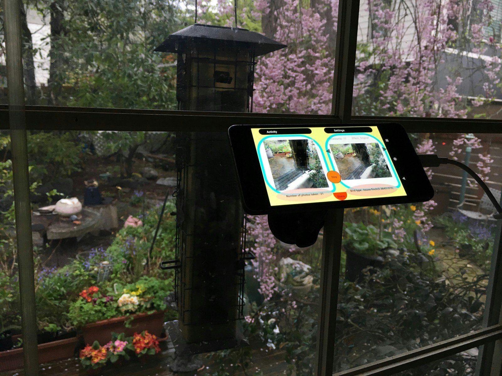 Birdfie gallery image