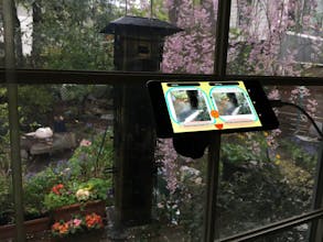 Birdfie gallery image