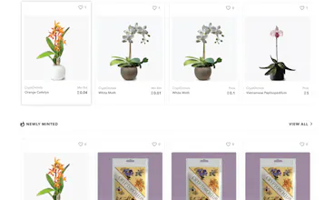 CryptOrchids gallery image