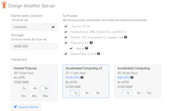 Salamander gallery image