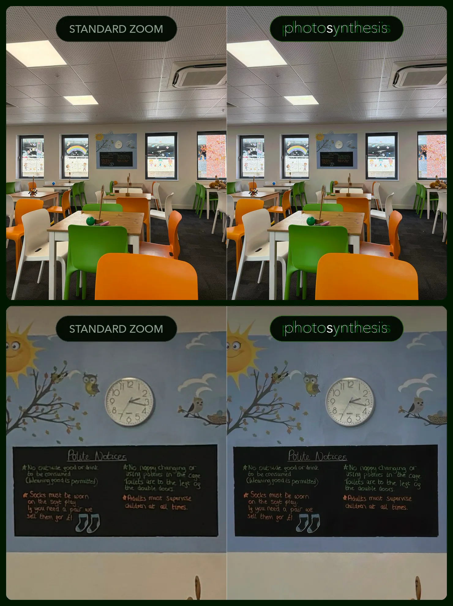 Photosynthesis: 2-Lens Camera gallery image