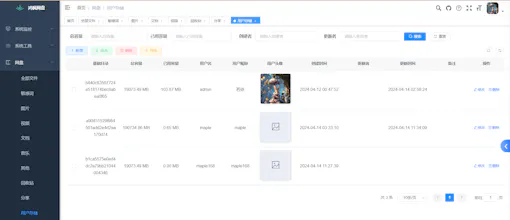 maple Netdisk gallery image