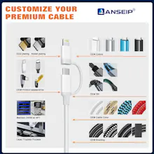 ANSEIP gallery image