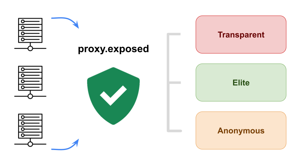 proxy.exposed媒体2