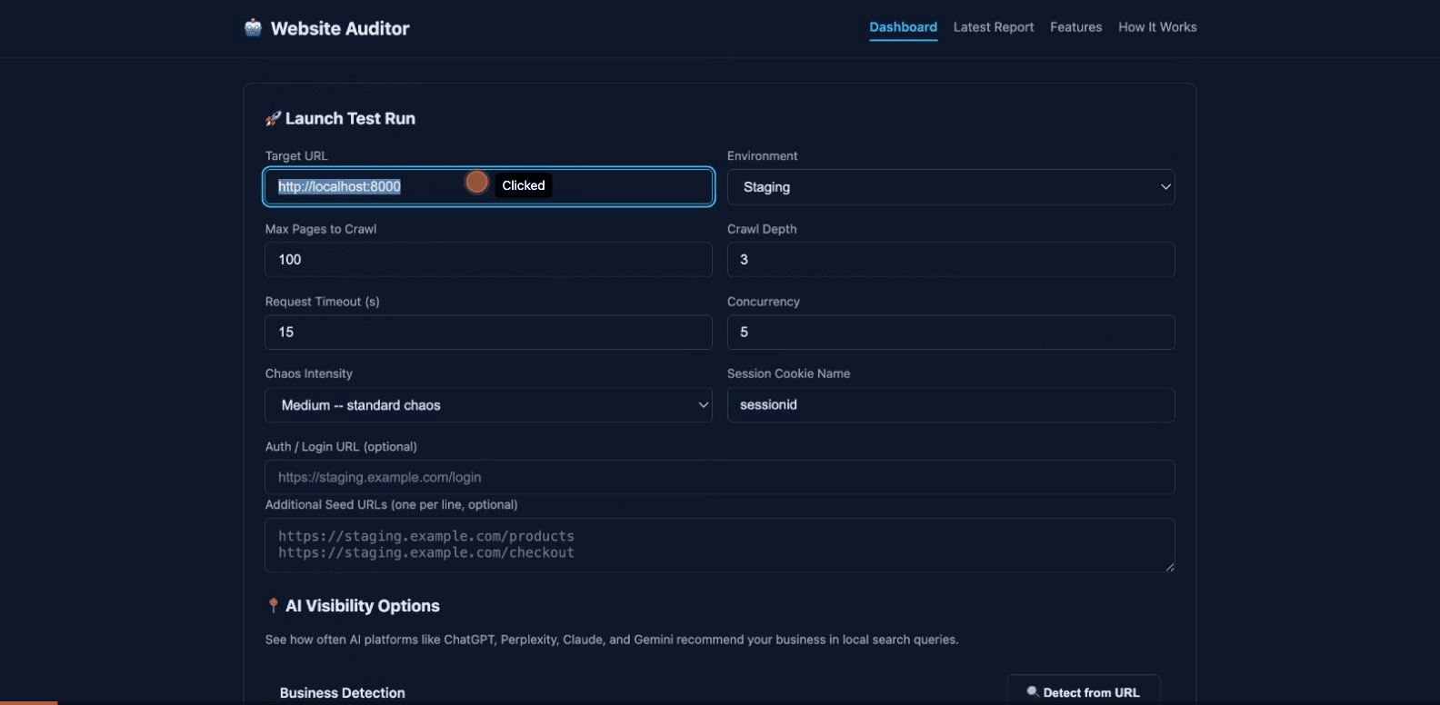 SEO Website Auditor - Main product screenshot demonstrating key features and user interface