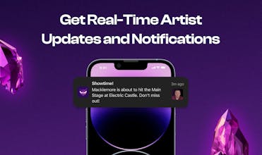 Festivawl gallery image