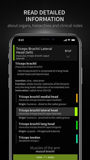 Anatomyka gallery image