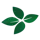 Four-Leaf