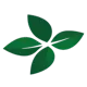 Four-Leaf