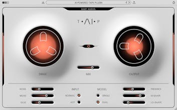 TAIP gallery image
