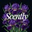 Scently