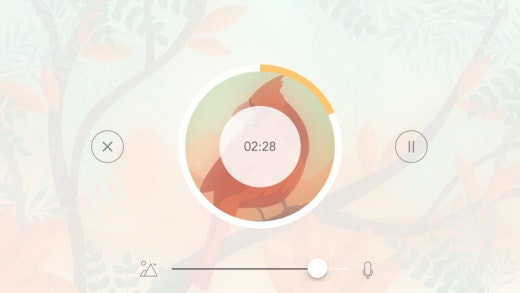 Sonus Island gallery image