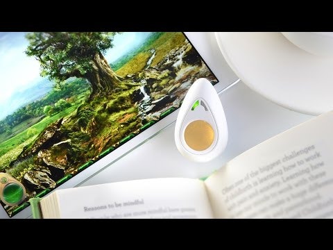 The Pip: Train your mind to manage stress