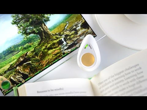 The Pip: Train your mind to manage stress