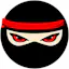 TikNinja
