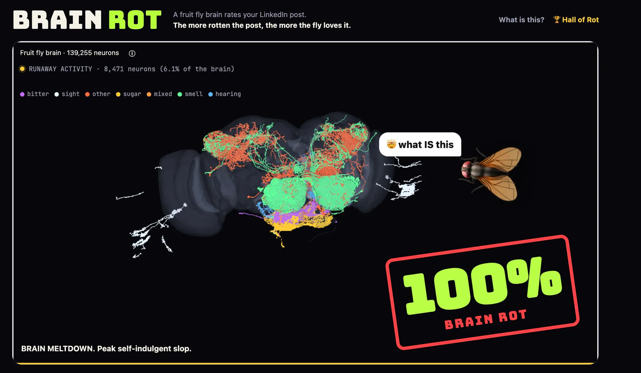 Brain Rot Posts gallery image