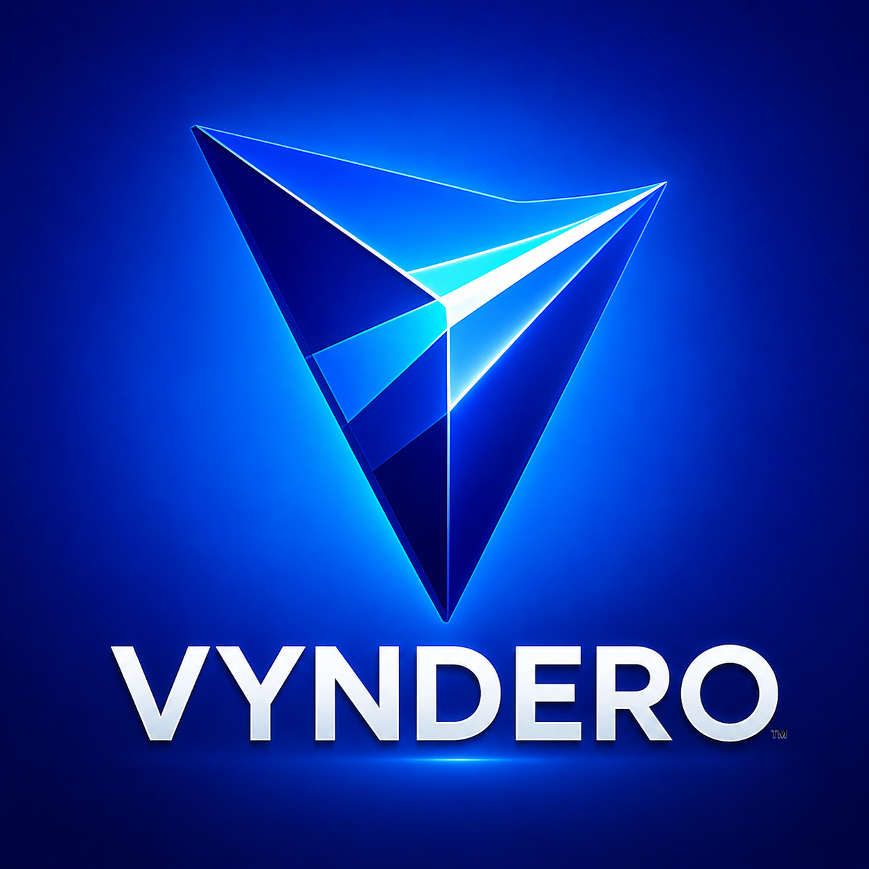VYNDERO gallery image