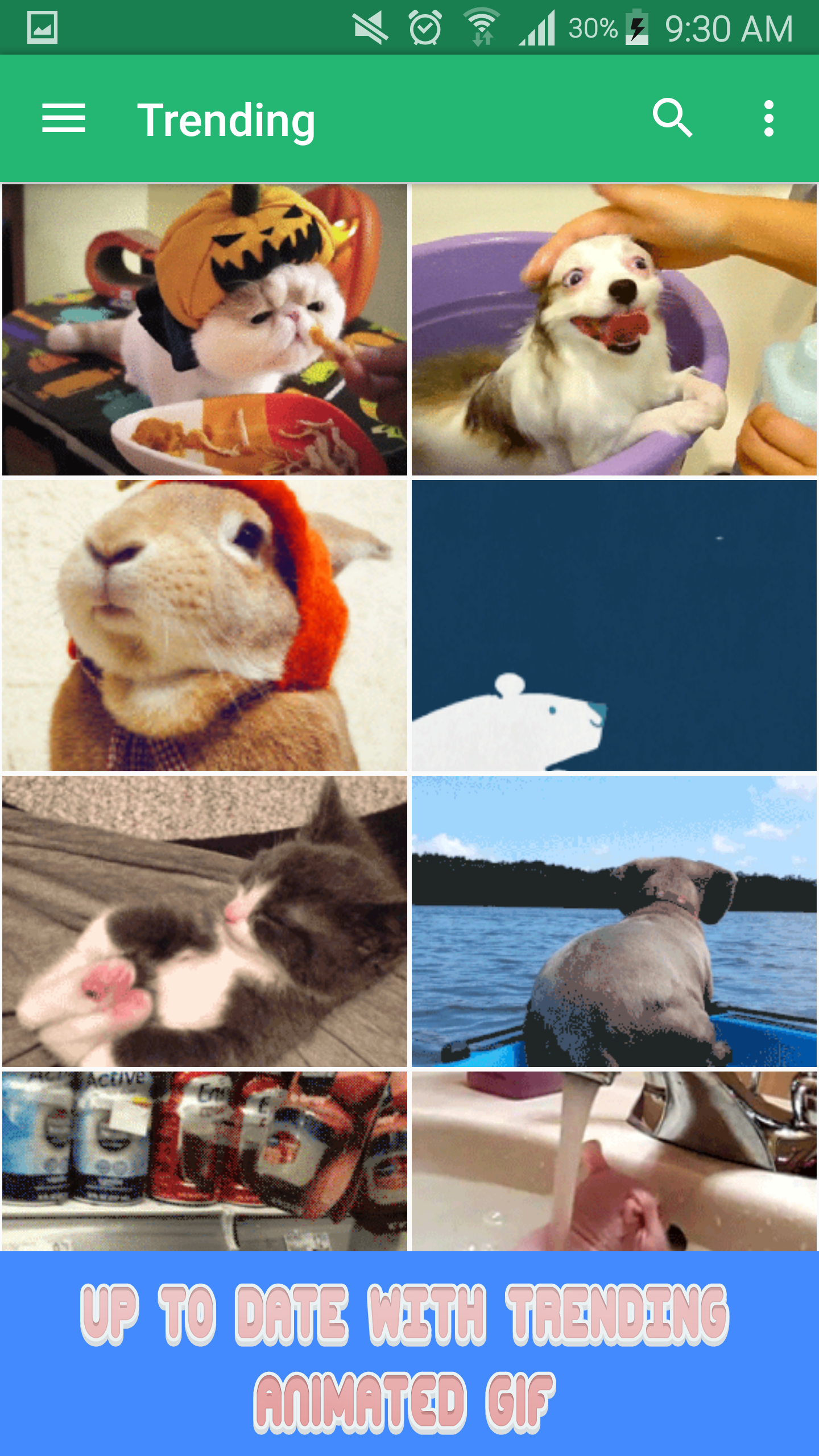 Animated gif for Android gallery image