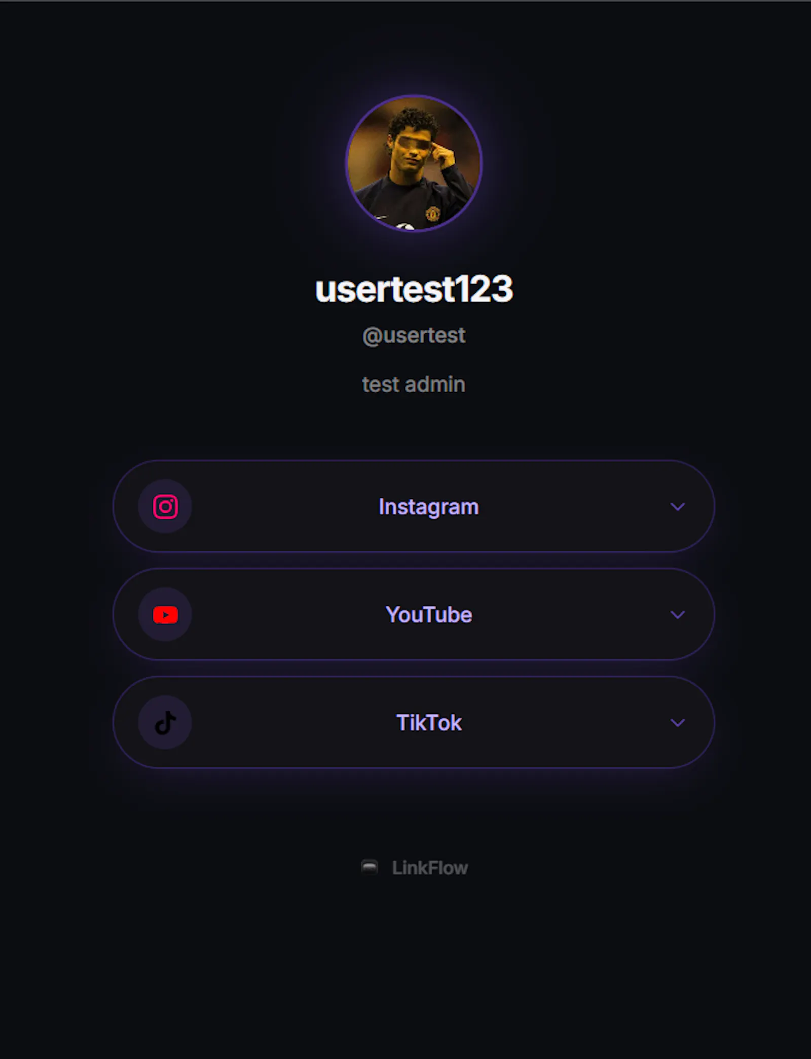 LinkFlow screenshot 2
