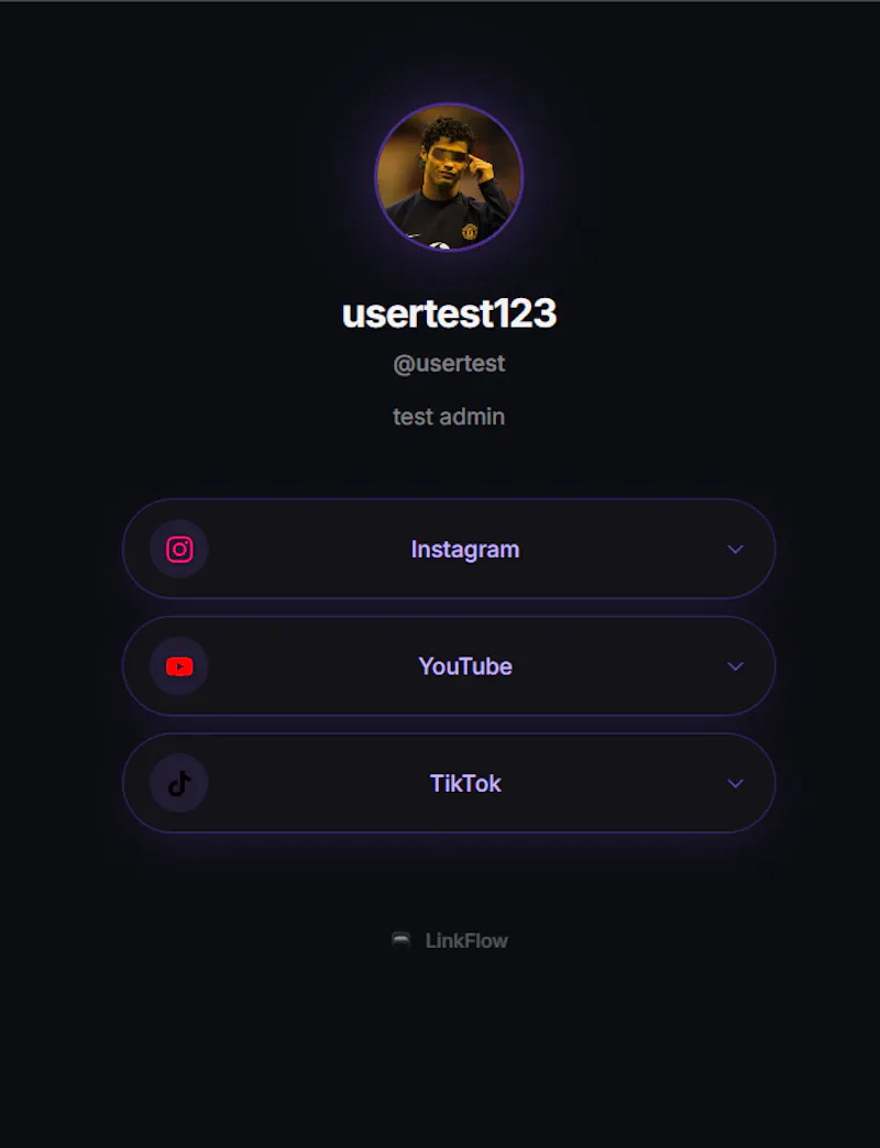 LinkFlow screenshot 2