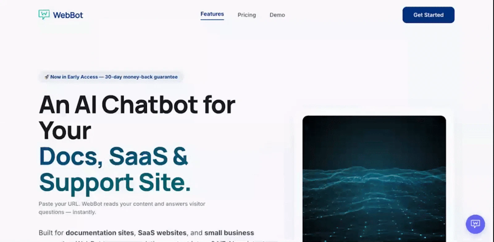 WebBot screenshot 1 (video preview)