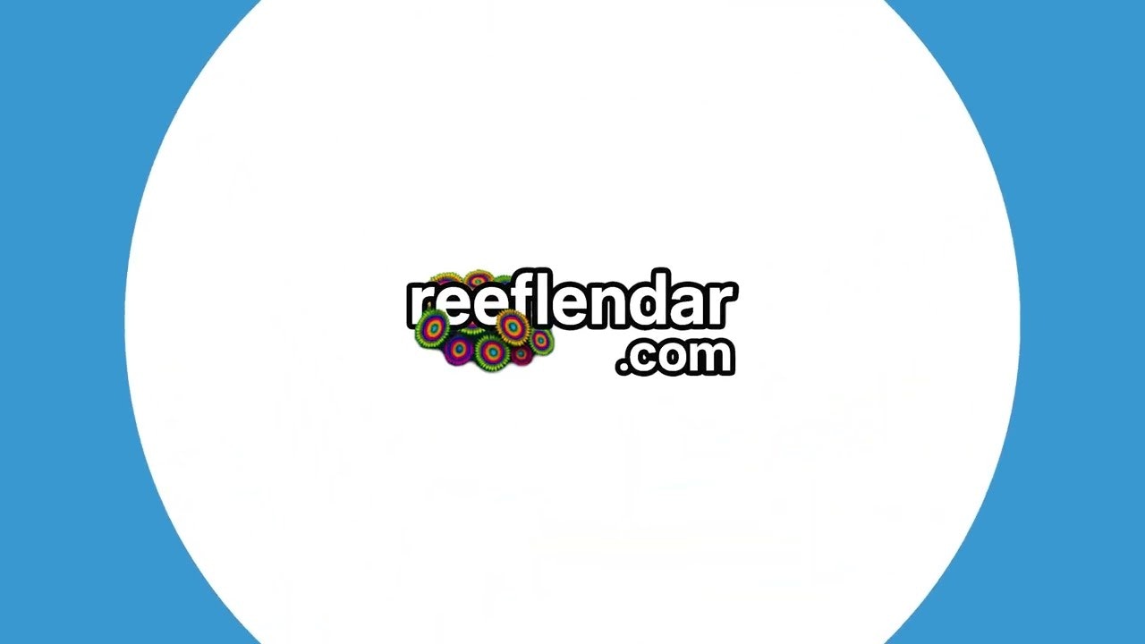 Reeflendar.com gallery image