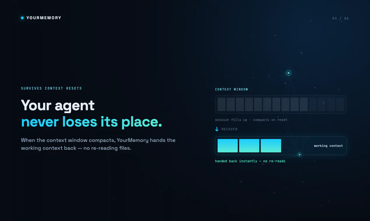 YourMemory 2.0 gallery image