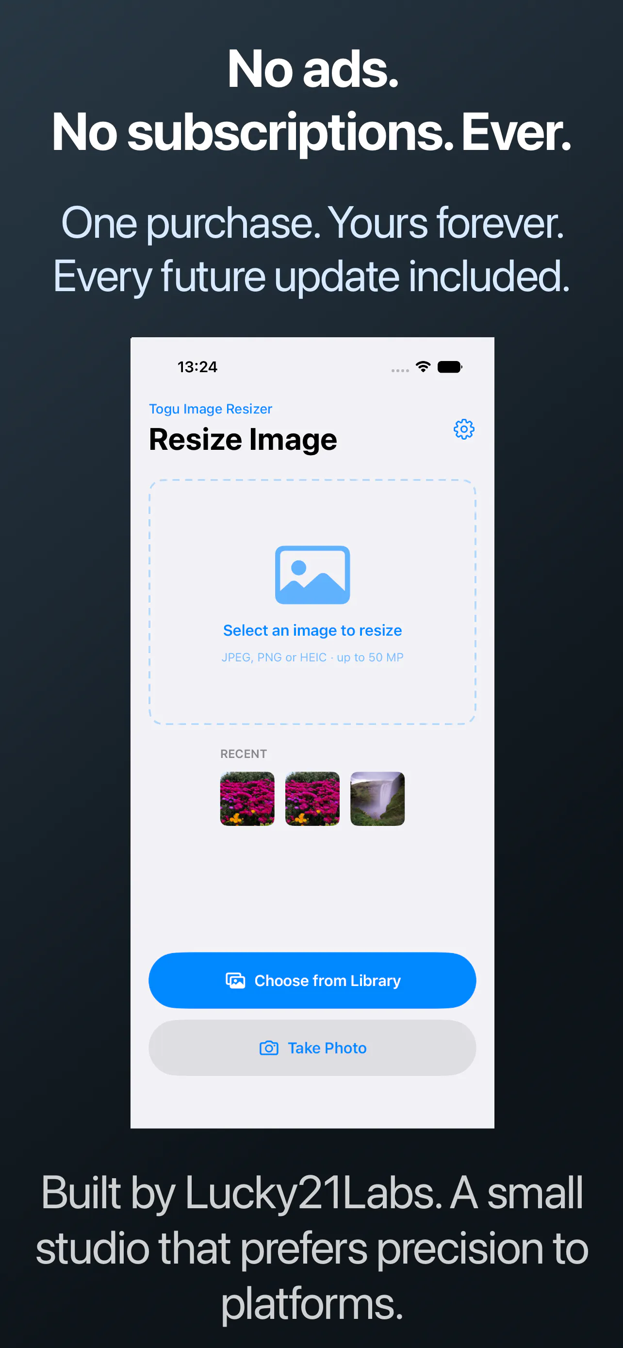 Togu Image Resizer gallery image