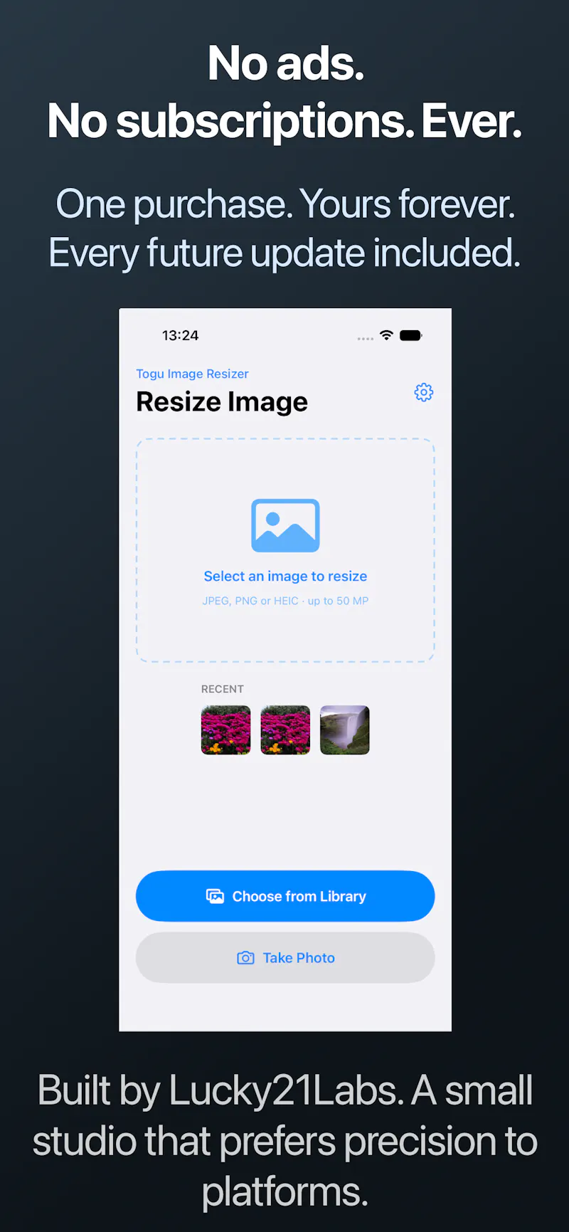 Togu Image Resizer screenshot 7