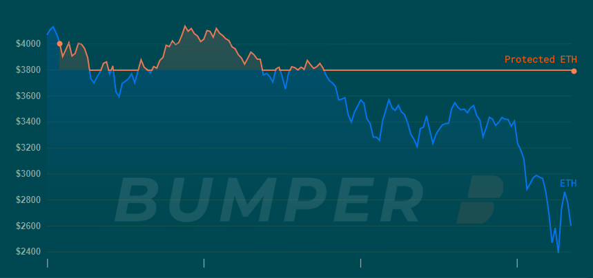 Bumper gallery image