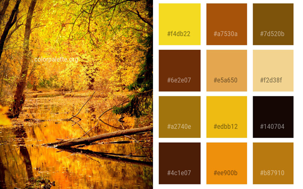 Color Palette gallery image