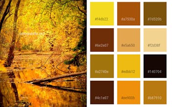 Color Palette gallery image