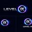 Level IX
