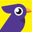 Morning Bird
