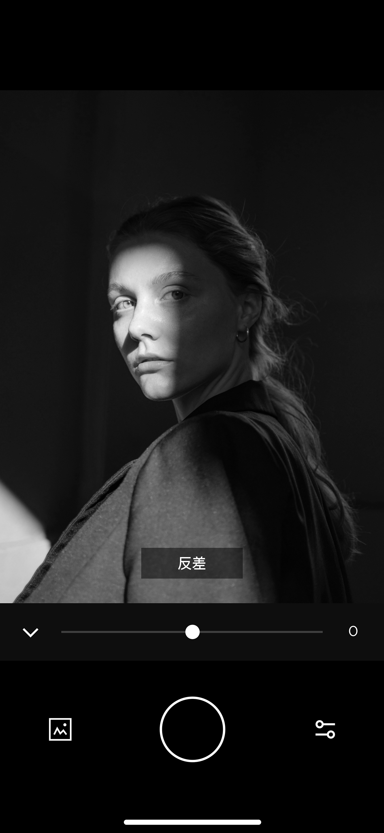 RavenCam gallery image