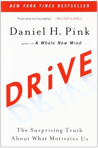 Drive: The Surprising Truth About What Motivates Us gallery image
