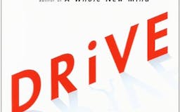 Drive: The Surprising Truth About What Motivates Us media 1