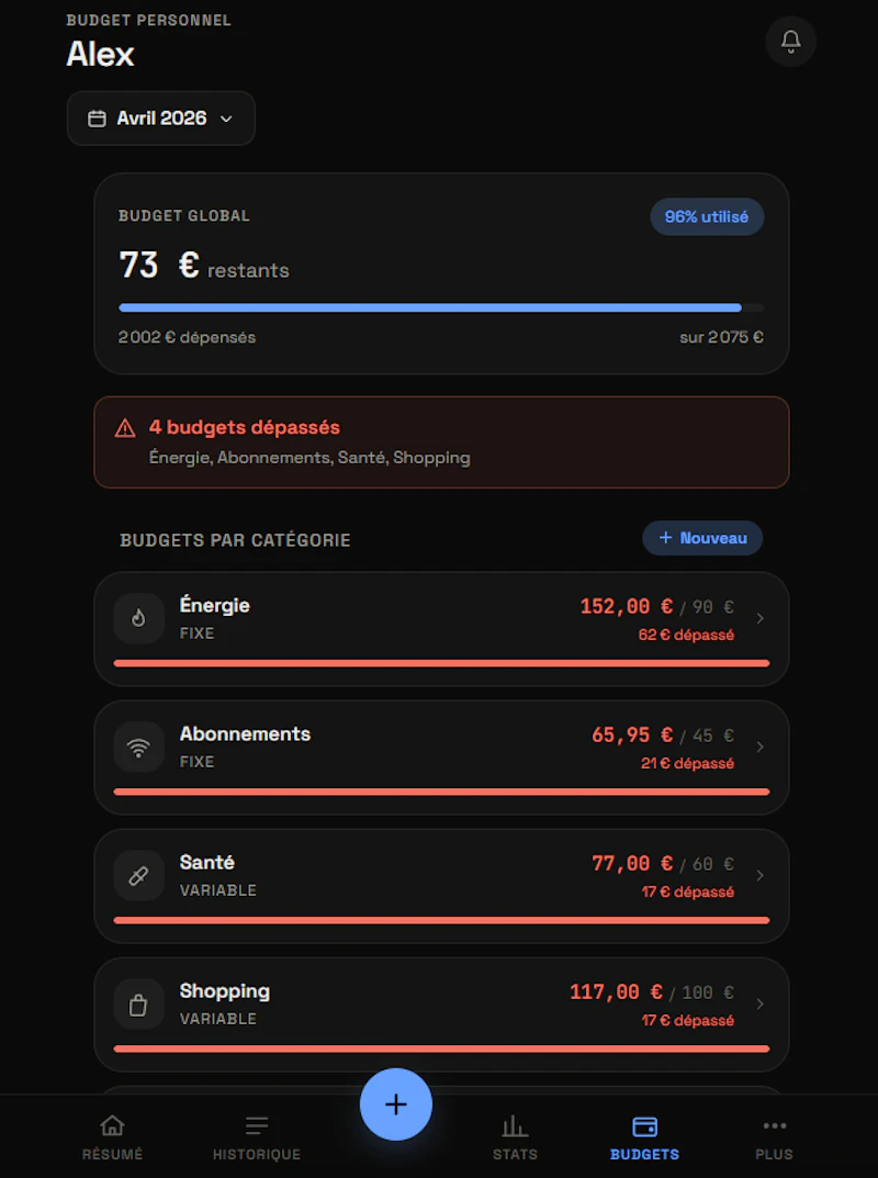BudgetVision screenshot 6