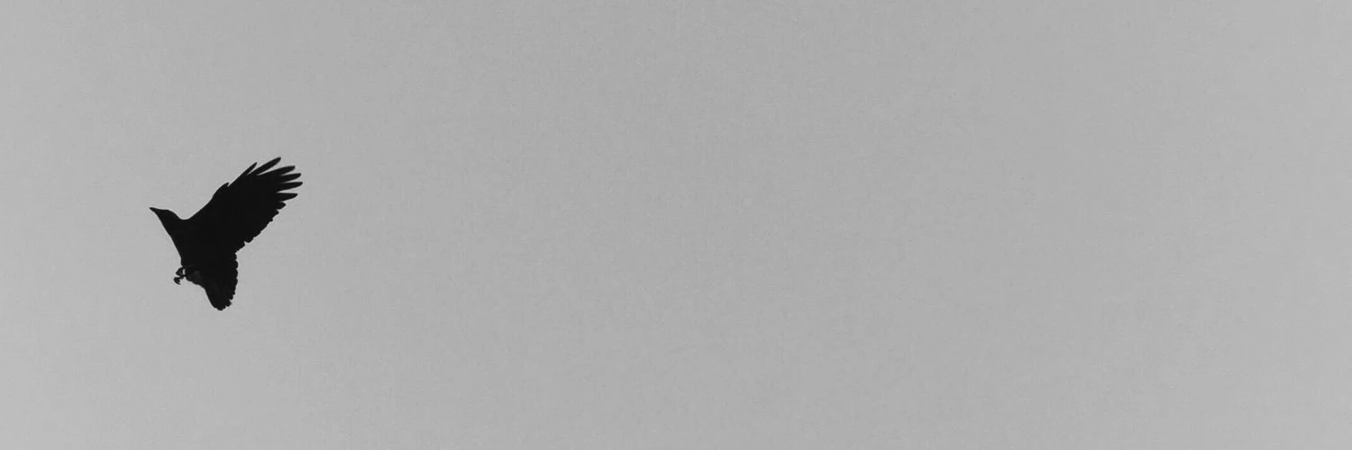 Kingsley Harris cover