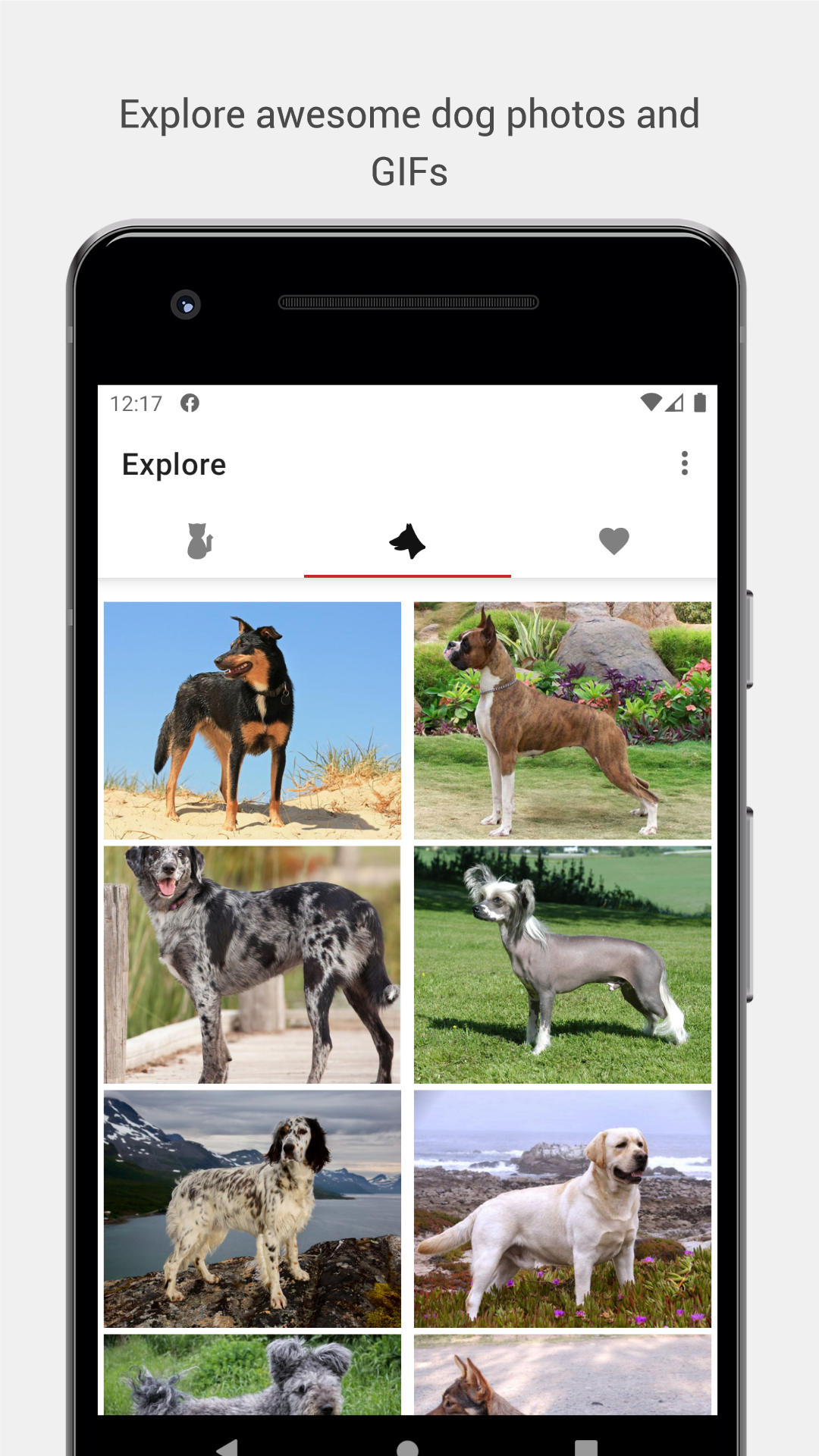 Purrito gallery image