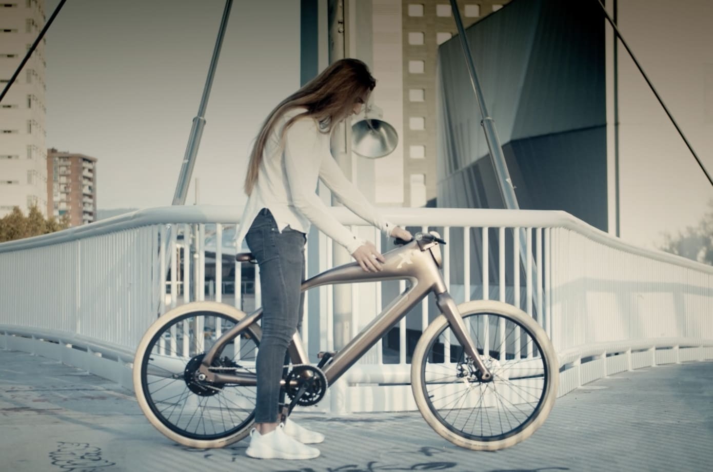 Rayvolt eXXite X One Ebike gallery image