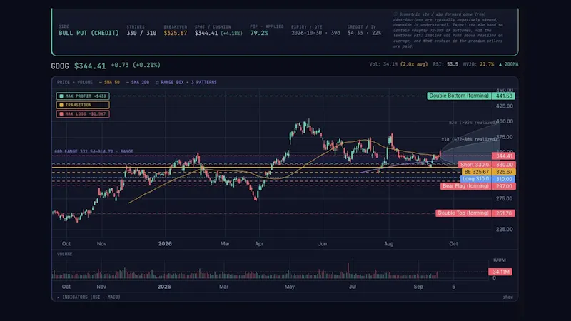 Optionscanner screenshot 1 (video preview)