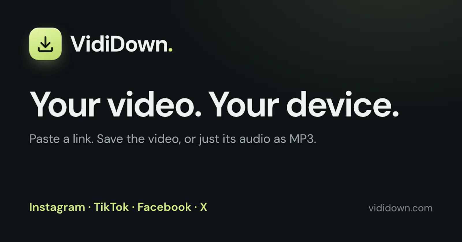 VidiDown screenshot 1