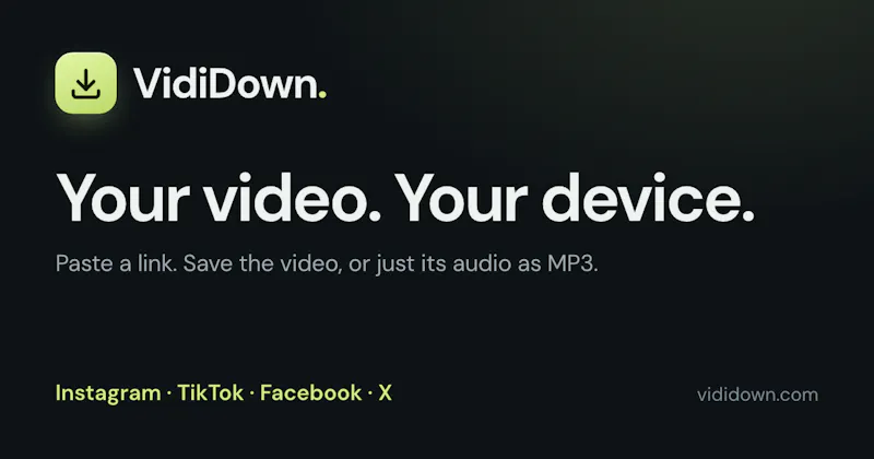 VidiDown screenshot 1