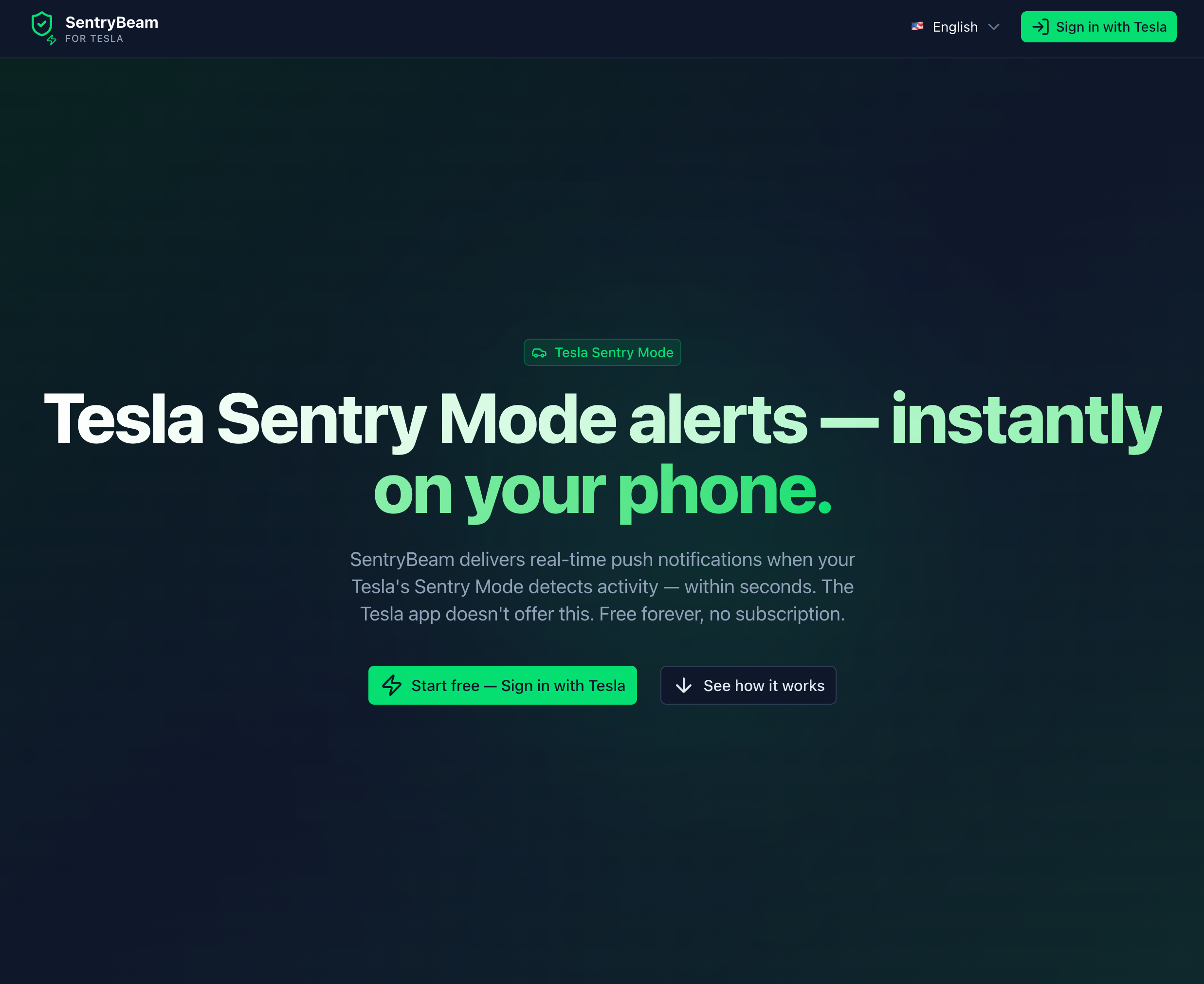 SentryBeam - For Tesla gallery image