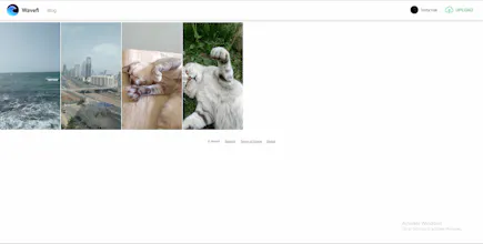 Wavefi gallery image