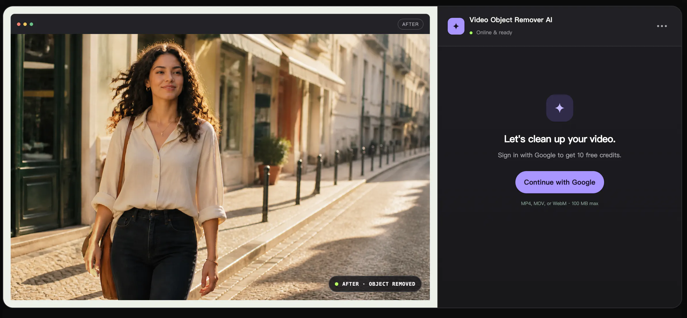 videoobjectremover.com gallery image